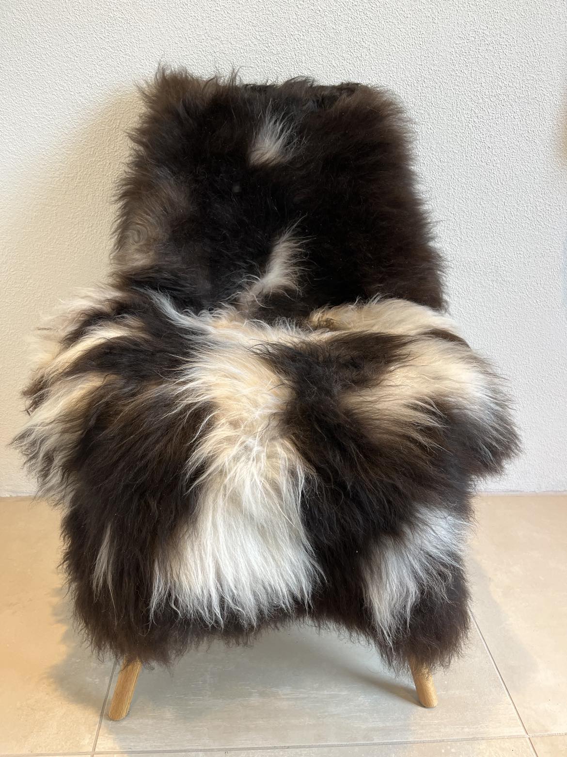 Jacobs flerfarvet skind