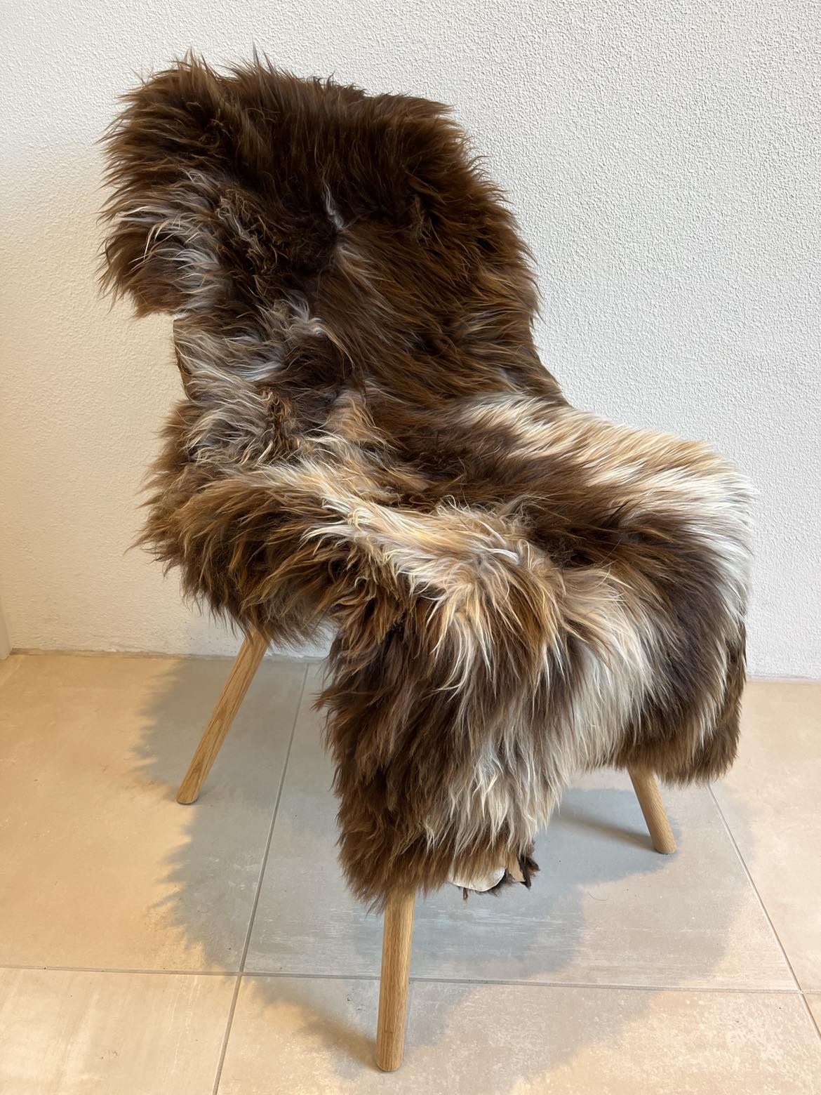 Jacobs flerfarvet skind