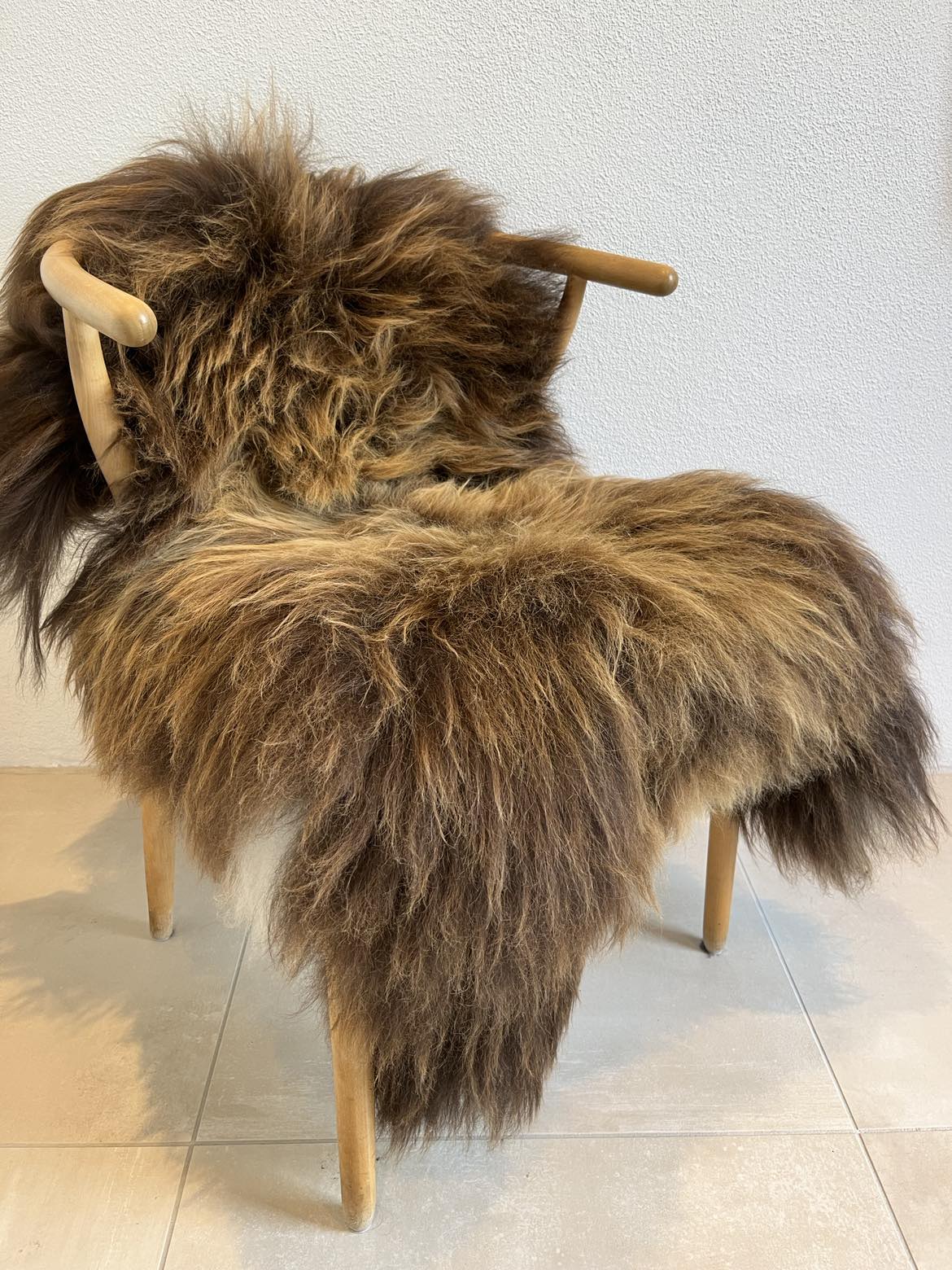 Islandsk lammeskind - Flerfarvet pels