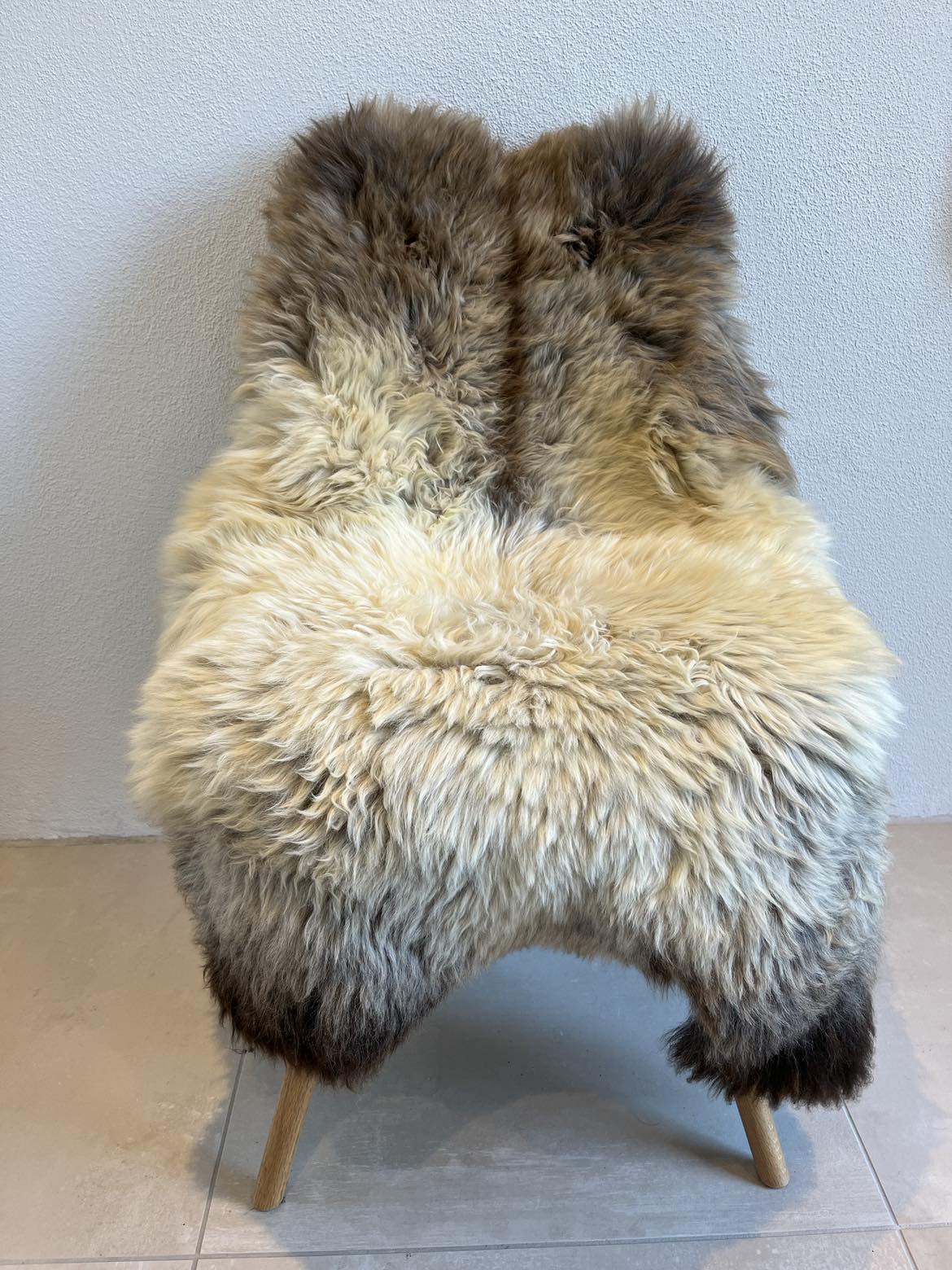 Jacobs flerfarvet skind