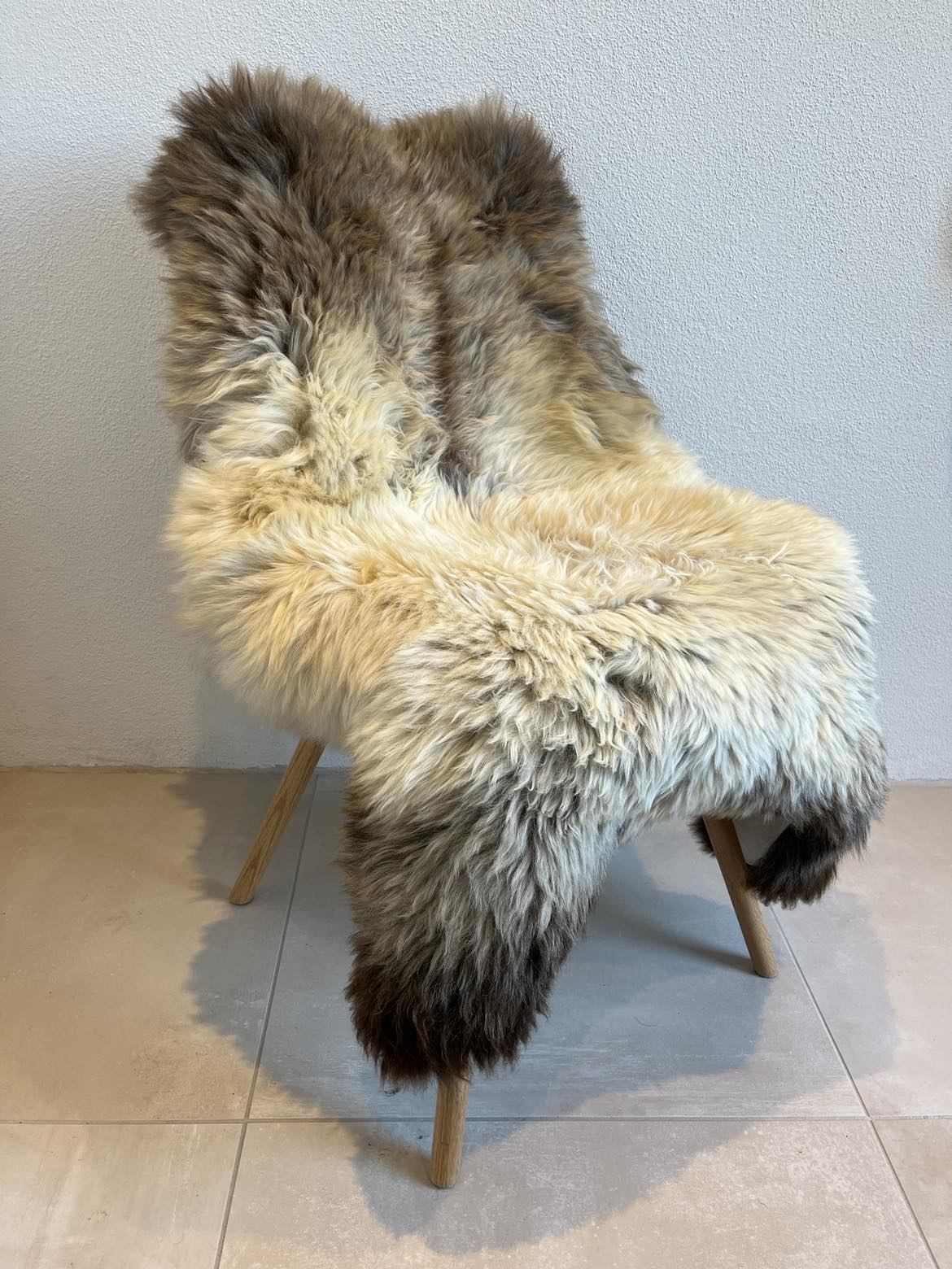 Jacobs flerfarvet skind
