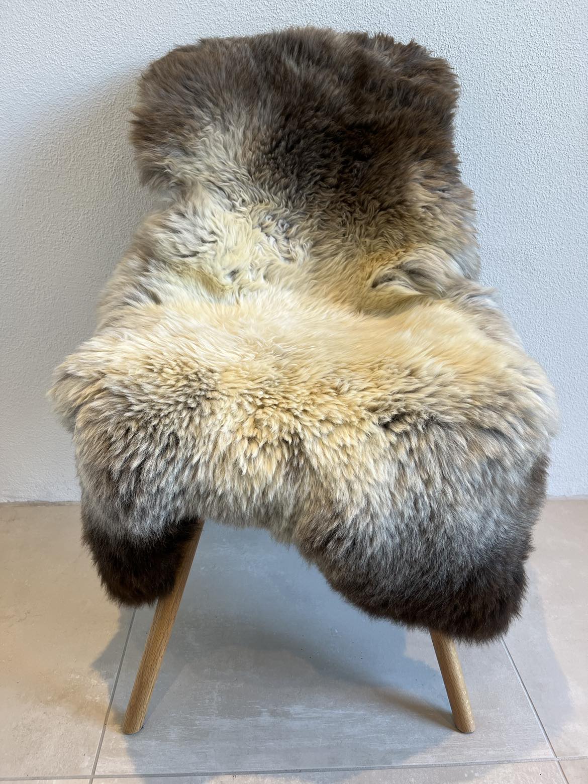 Jacobs flerfarvet skind