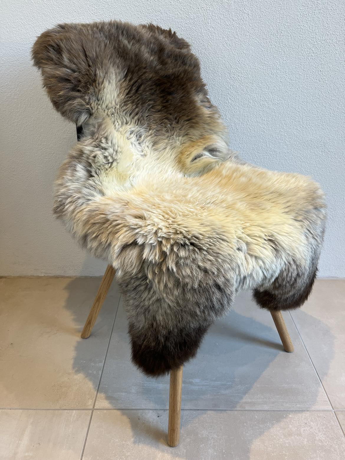 Jacobs flerfarvet skind